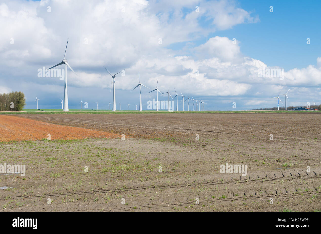 Fila di turbine eoliche in un agricolo paesaggio olandese Foto Stock