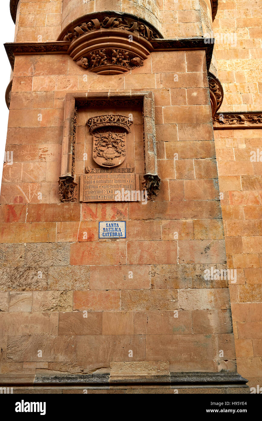 Basilica Cattedrale di Salamanca spagna dalla via de la Plata modo Foto Stock