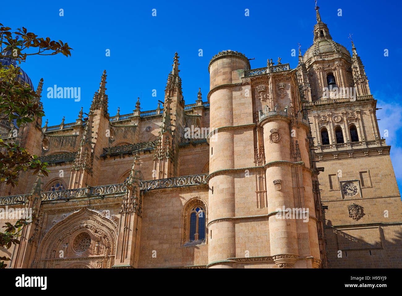 Salamanca facciata della cattedrale in Spagna da Via de la Plata Cammino di Santiago Foto Stock