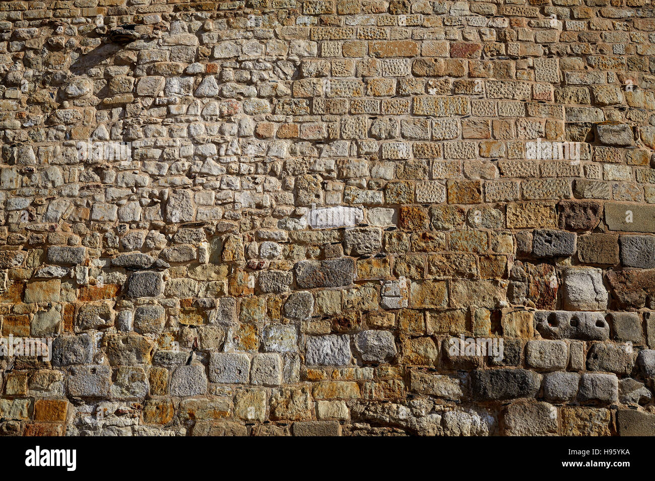 Salamanca in Spagna muratura dettaglio lungo via de la Plata Cammino di Santiago Foto Stock