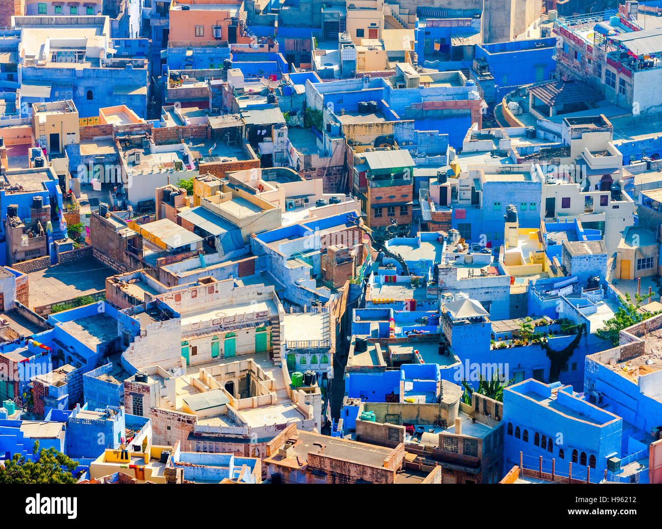 Jodhpur la città blu del Rajasthan, India, Asia Foto Stock