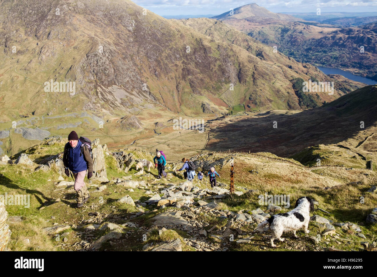 Gli escursionisti escursioni sul ripido sentiero sassoso fino Yr Aran sopra Cwm Llan valle nelle montagne del Parco Nazionale di Snowdonia (Eryri). Gwynedd, Wales, Regno Unito, Gran Bretagna Foto Stock