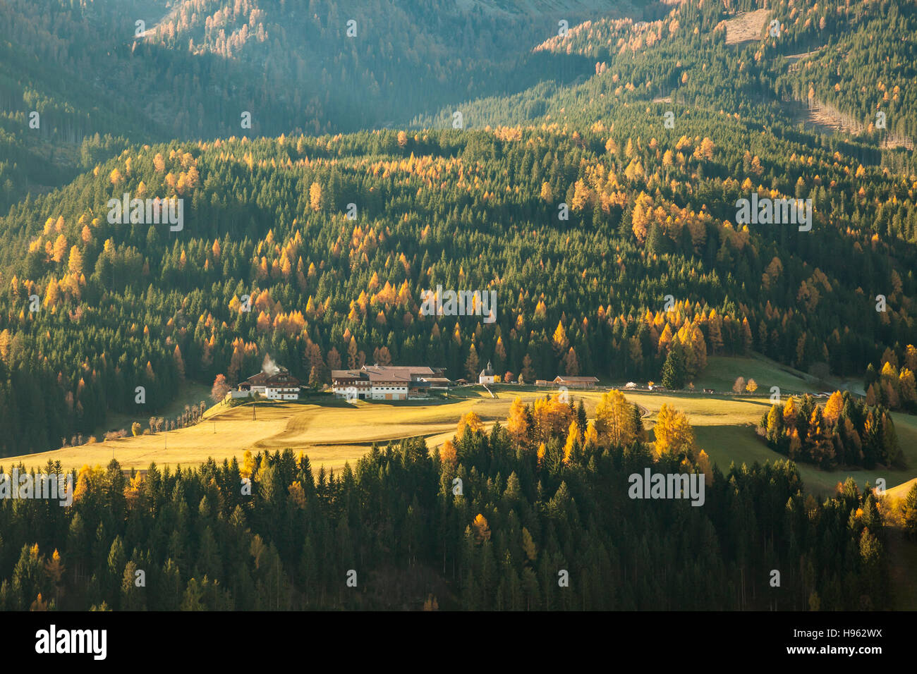 La mattina di autunno in Alto Adige, Austria. Alpi. Foto Stock