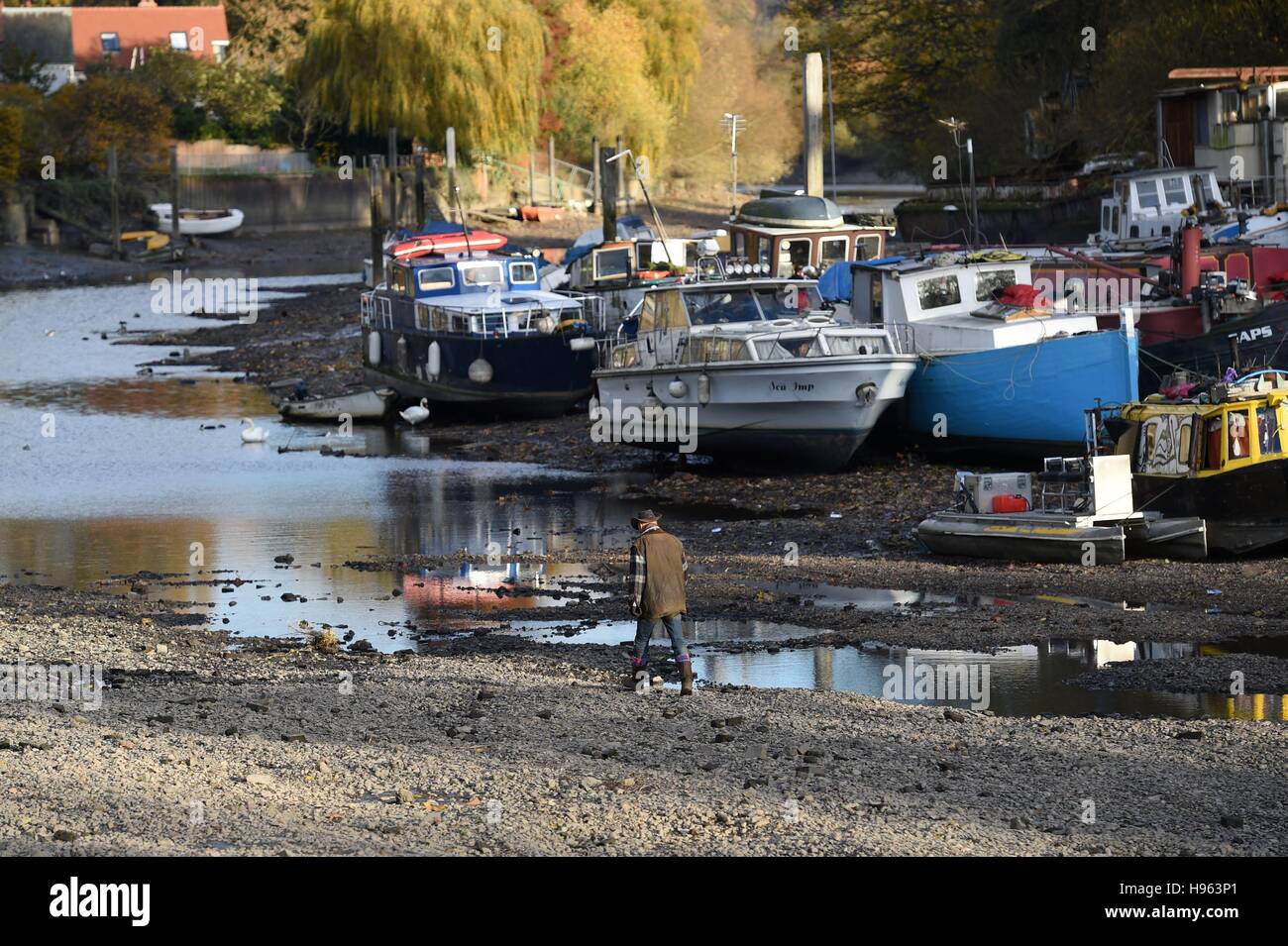 Barche ormeggiate sul fiume Tamigi a Eel Pie Island a Twickenham, West London, con la bassa marea, dopo il fiume è stato scaricato per l annuale di draw-off, periodo durante il quale un fiume di ispezione e operazioni di manutenzione fondamentali opere saranno effettuati sul blocco di Richmond, sbarramenti e chiuse. Foto Stock