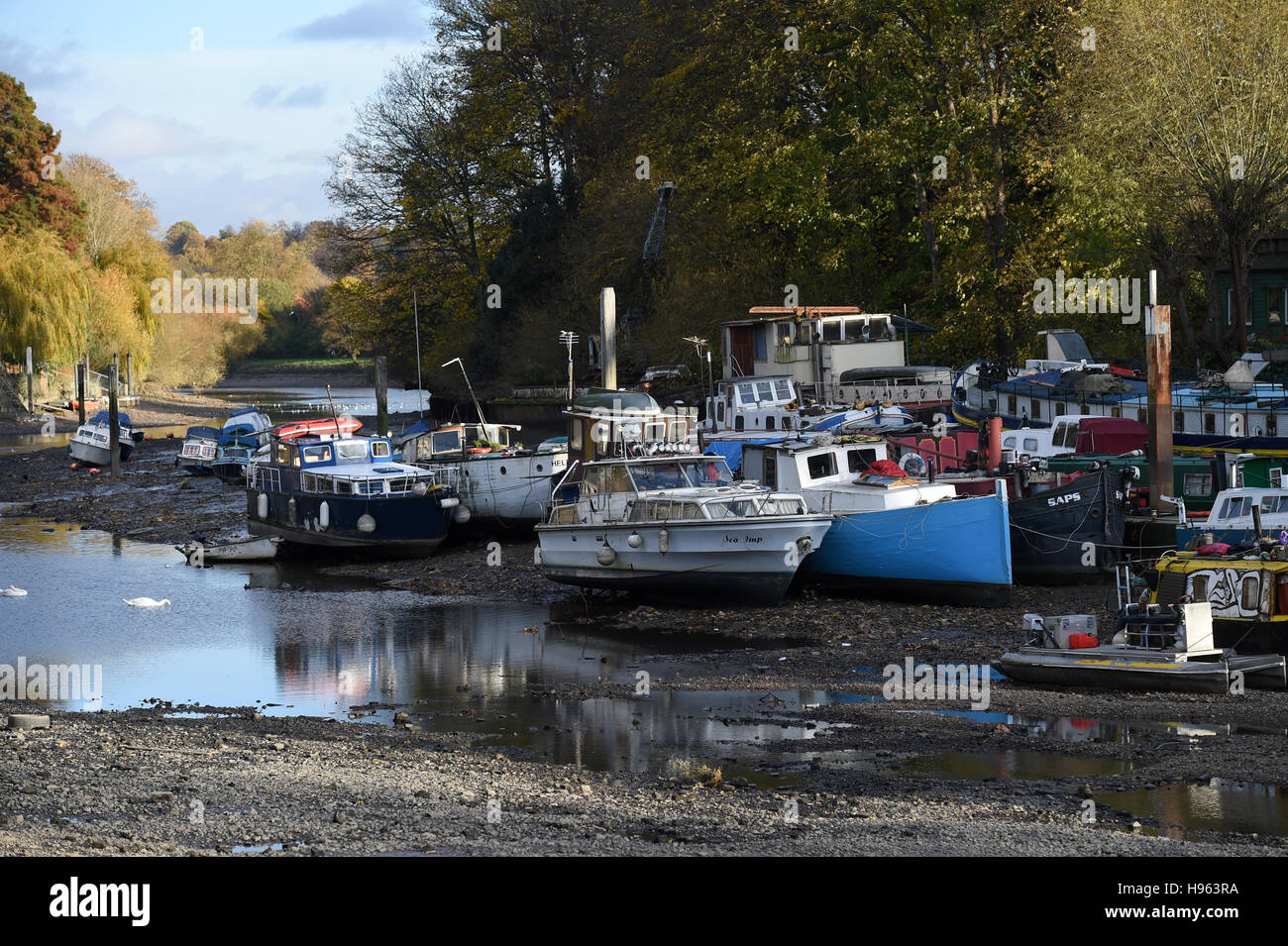 Barche ormeggiate sul fiume Tamigi a Eel Pie Island a Twickenham, West London, con la bassa marea, dopo il fiume è stato scaricato per l annuale di draw-off, periodo durante il quale un fiume di ispezione e operazioni di manutenzione fondamentali opere saranno effettuati sul blocco di Richmond, sbarramenti e chiuse. Foto Stock