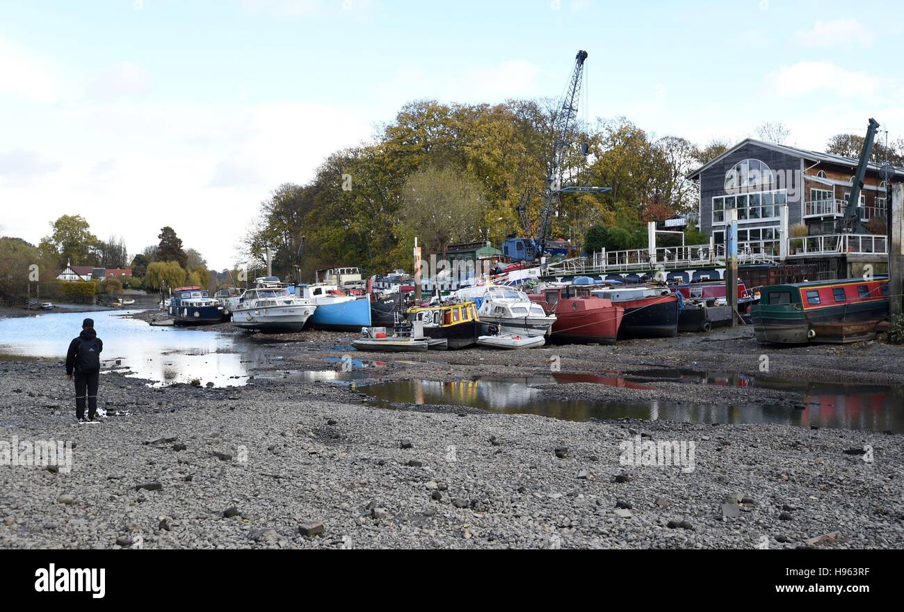 Barche ormeggiate sul fiume Tamigi a Eel Pie Island a Twickenham, West London, con la bassa marea, dopo il fiume è stato scaricato per l annuale di draw-off, periodo durante il quale un fiume di ispezione e operazioni di manutenzione fondamentali opere saranno effettuati sul blocco di Richmond, sbarramenti e chiuse. Foto Stock