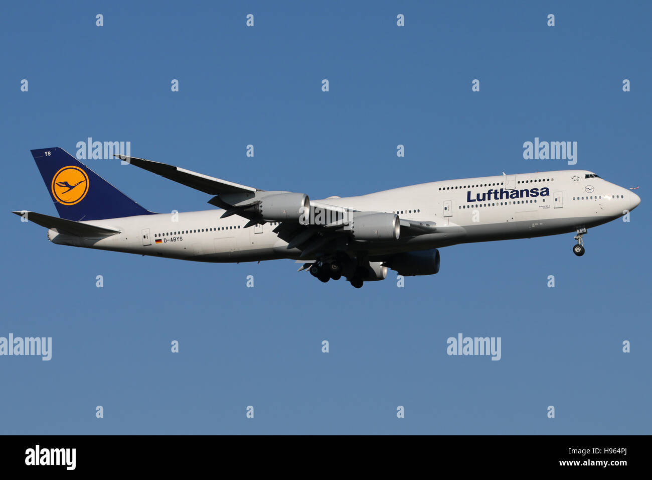Francoforte, Germania - 27 Febbraio 2016: Lufthansa, Boeing 747-800 è l'atterraggio all'aeroporto di Francoforte Foto Stock