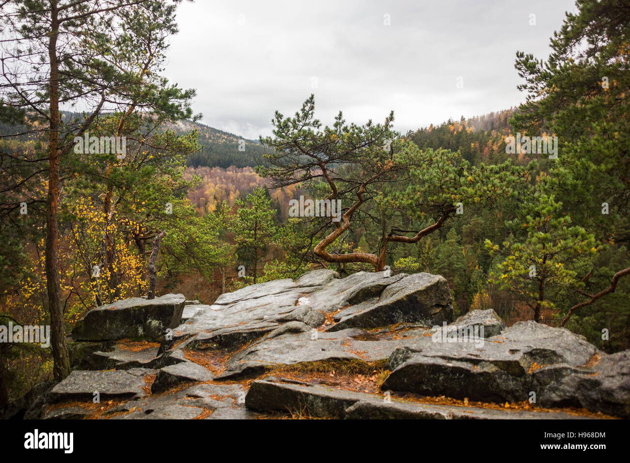 Boemia meridionale (Repubblica Ceca) Certova Stena - natura prenotazione. Foto Stock