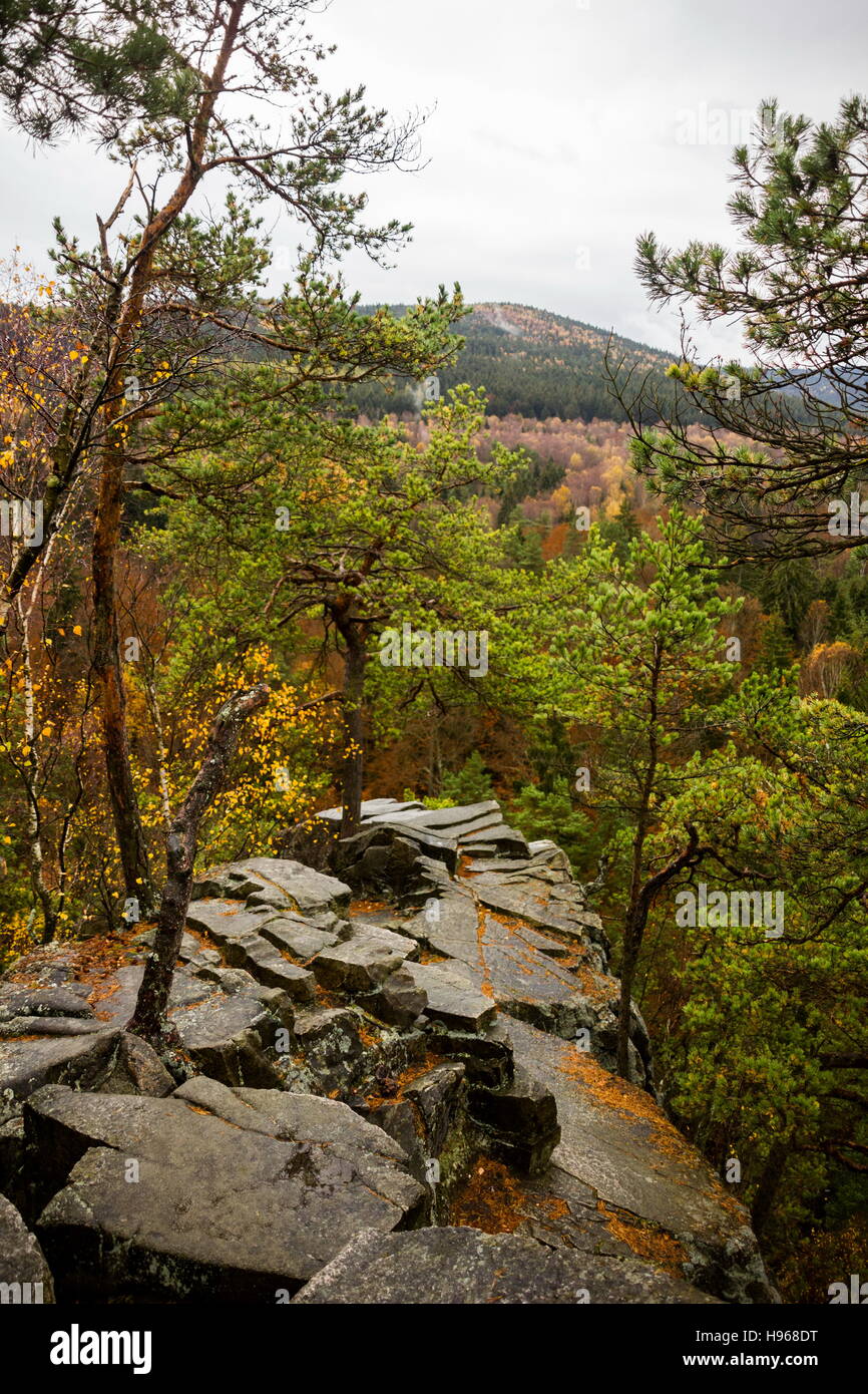 Boemia meridionale (Repubblica Ceca) Certova Stena - natura prenotazione. Foto Stock