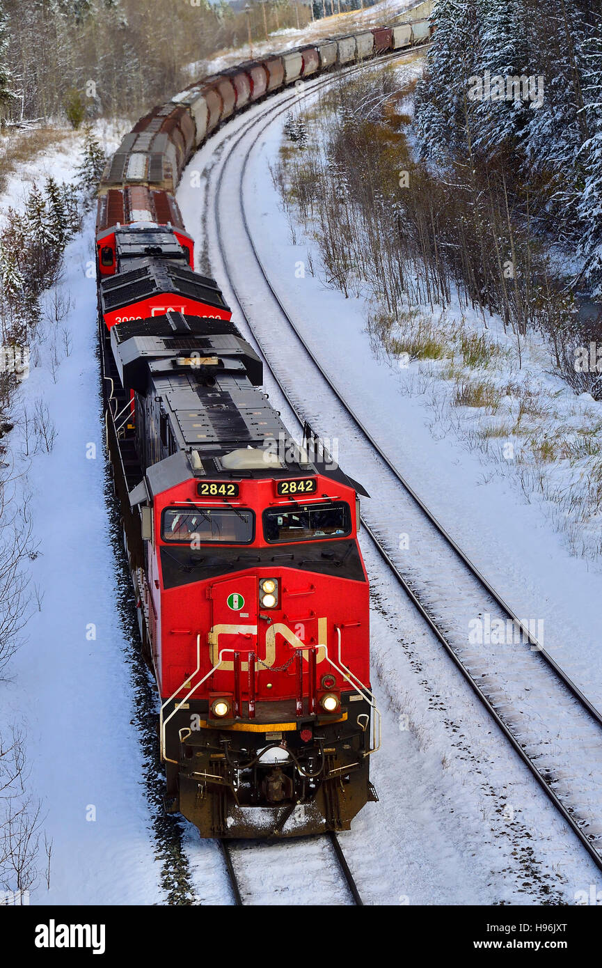 Un'immagine verticale di un Canadian National di treni merci viaggiano a una curva su una pista nelle zone rurali di Alberta in Canada. Foto Stock