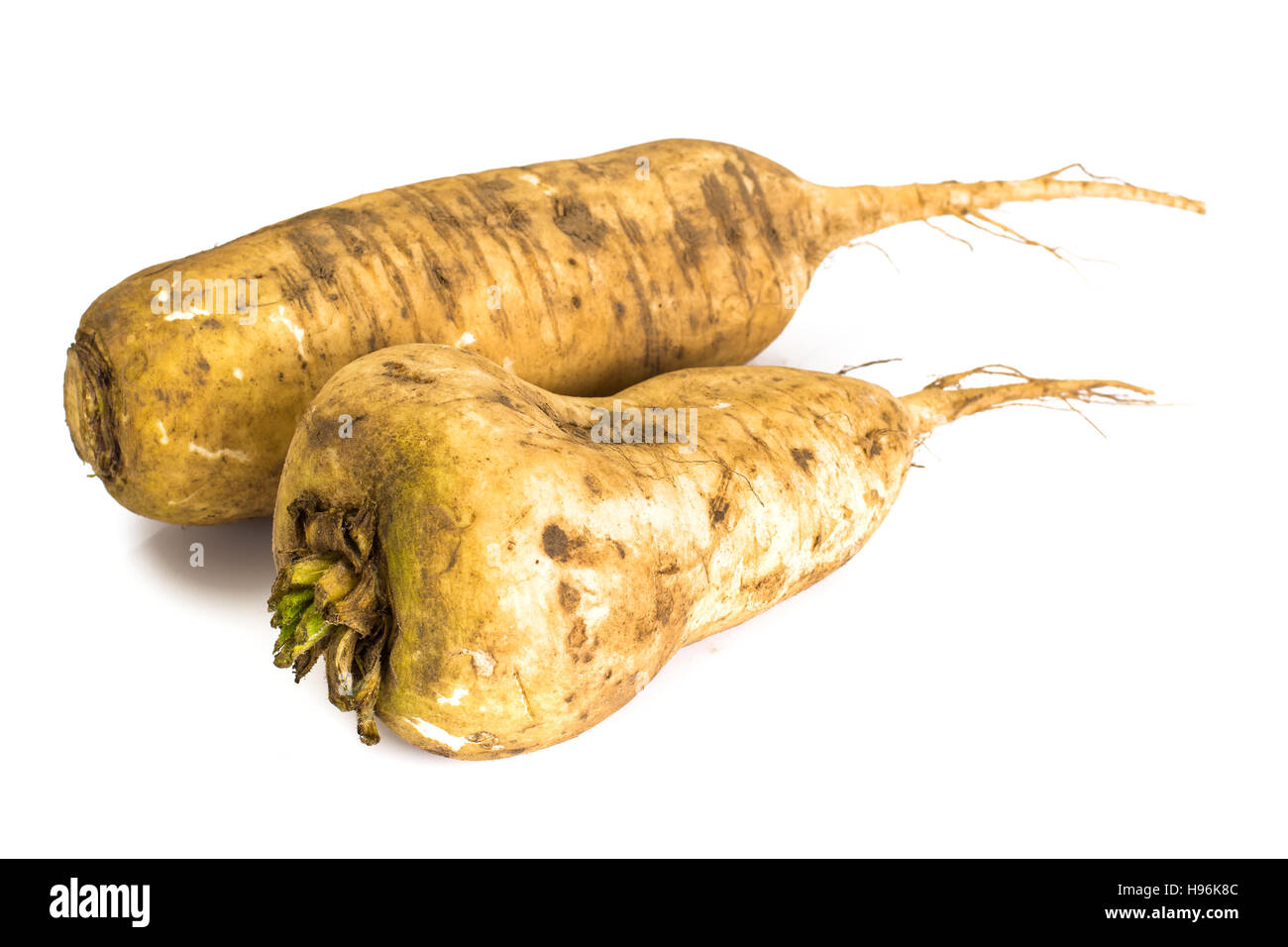 Daikon popolari giapponesi vegetali di radice Studio Foto Foto Stock