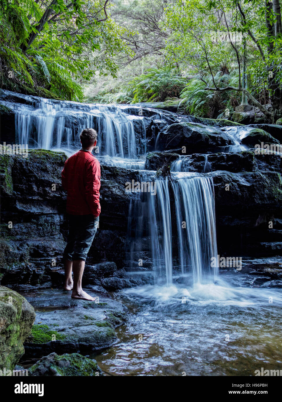 Australia, Nuovo Galles del Sud, Katoomba, uomo guardando a cascata in Leura cascata Foto Stock