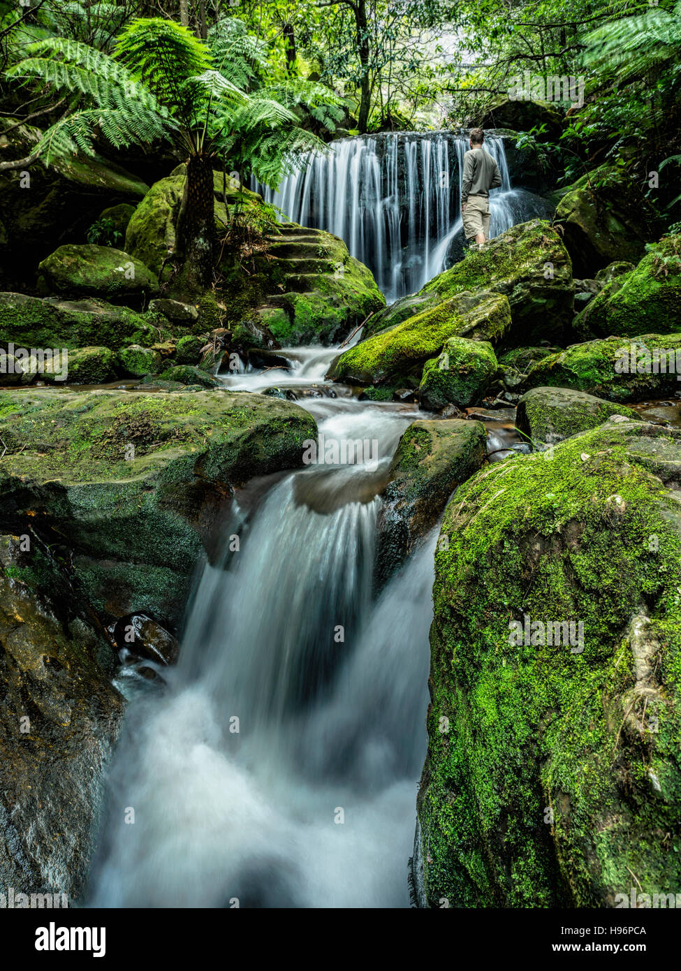 Australia, Nuovo Galles del Sud, Katoomba, Leura cascata nella foresta Foto Stock