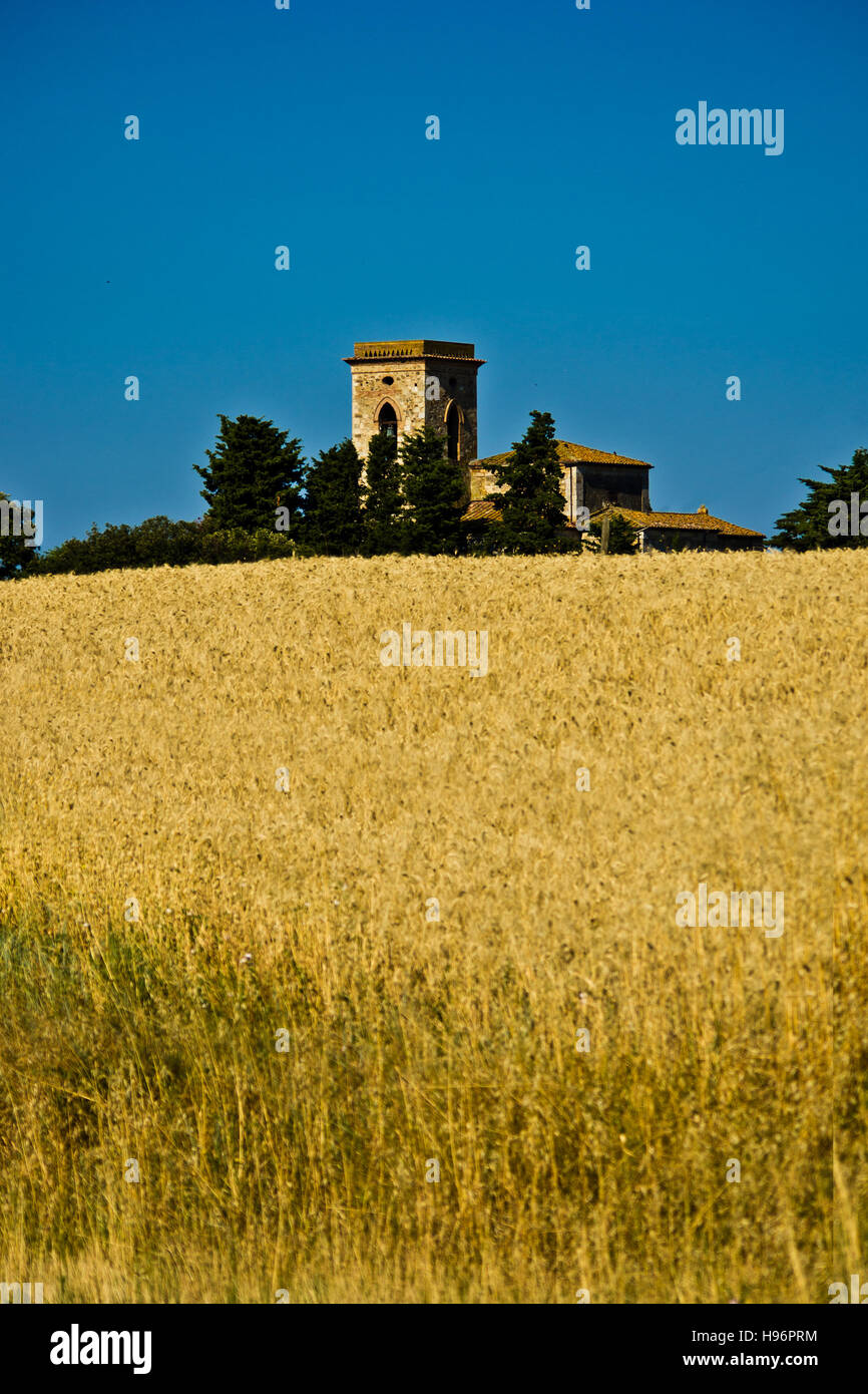 Il campanile di una chiesa si erge nel mezzo di una bionda coppia campo di grano Foto Stock