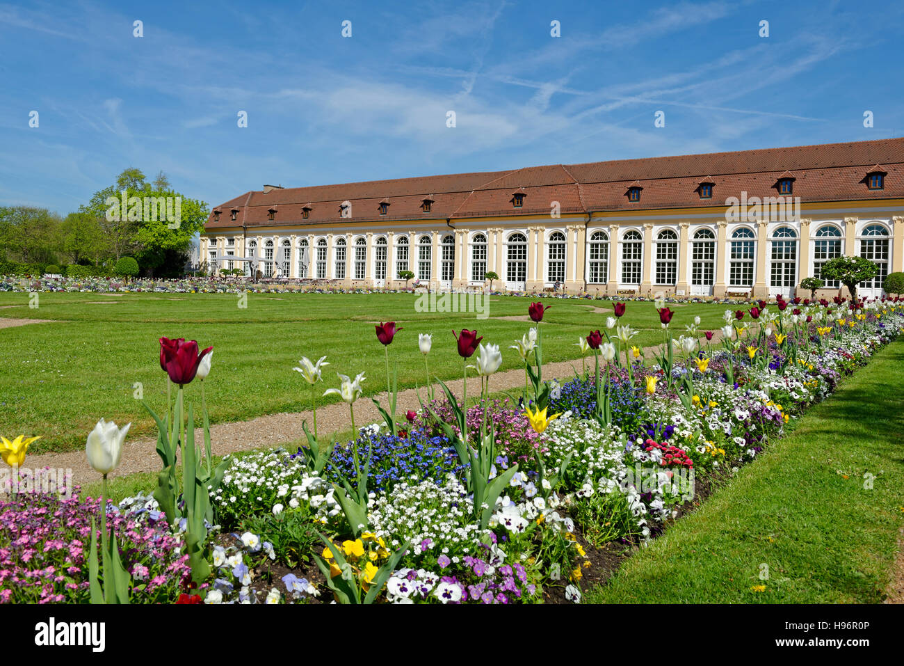 Aranciera e fiori, Ansbach Residence, Ansbach, Baviera, Germania Foto Stock