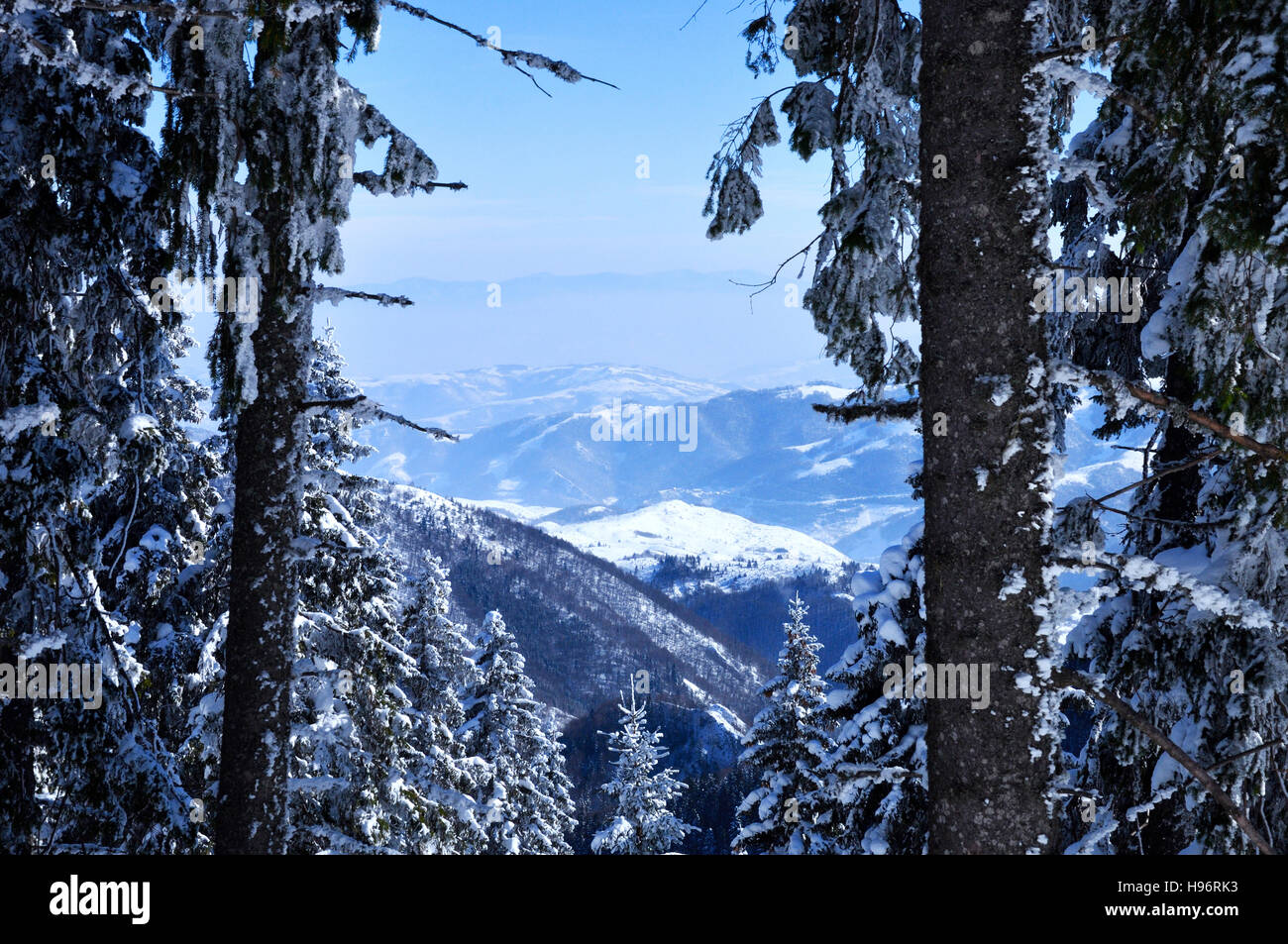 Paesaggio di neve a Kopaonik resort, vista da nord direzione. La Serbia Foto Stock