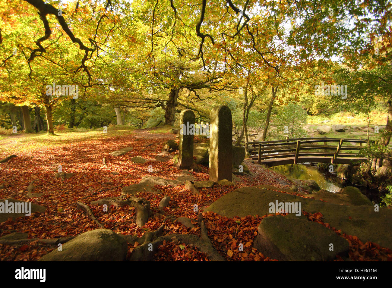 Il fogliame di autunno in gola Padley; una pittoresca valle boscosa condito con sentieri pubblici (nella foto), Peak District, Derbyshire, Regno Unito Foto Stock