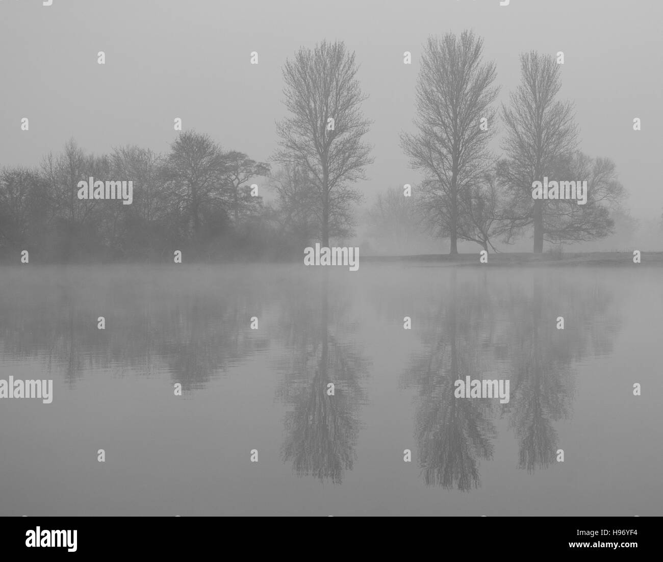 Riflessioni albero, Misty mattina Foto Stock