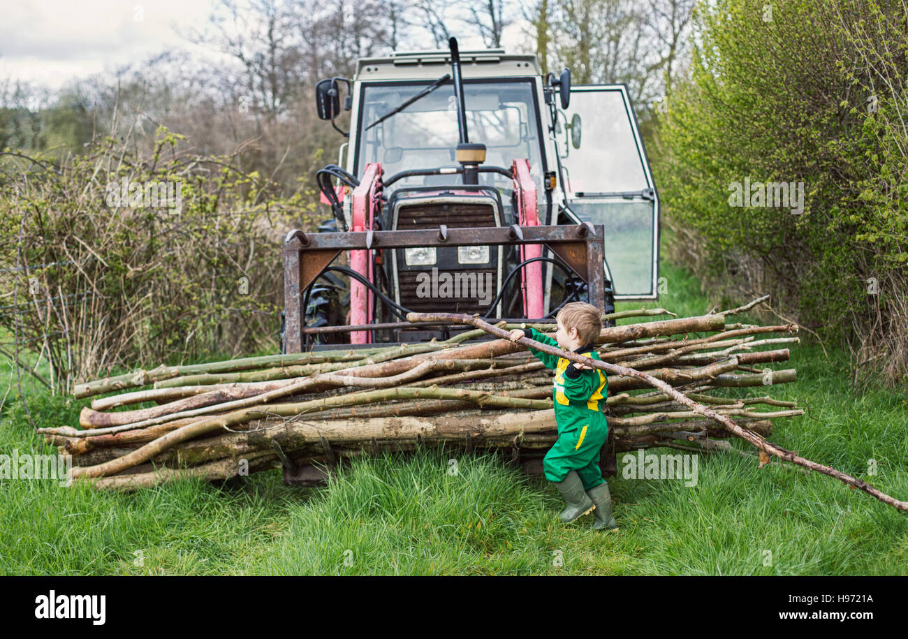 Un piccolo ragazzo contribuendo al legno di carico su un trattore Foto Stock