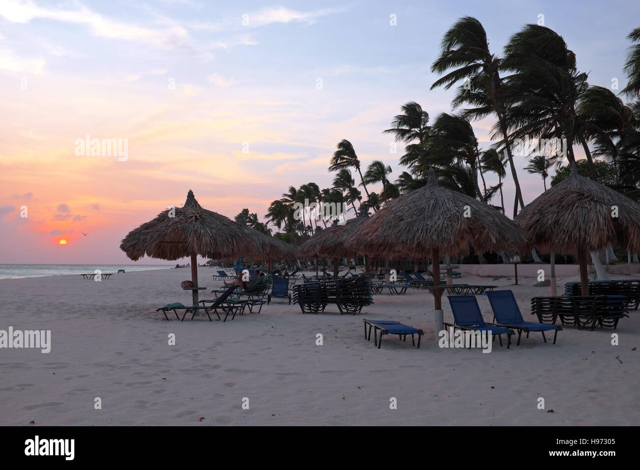 Ombrelloni e sdraio in spiaggia a Manchebo beach sull'isola di Aruba al tramonto Foto Stock
