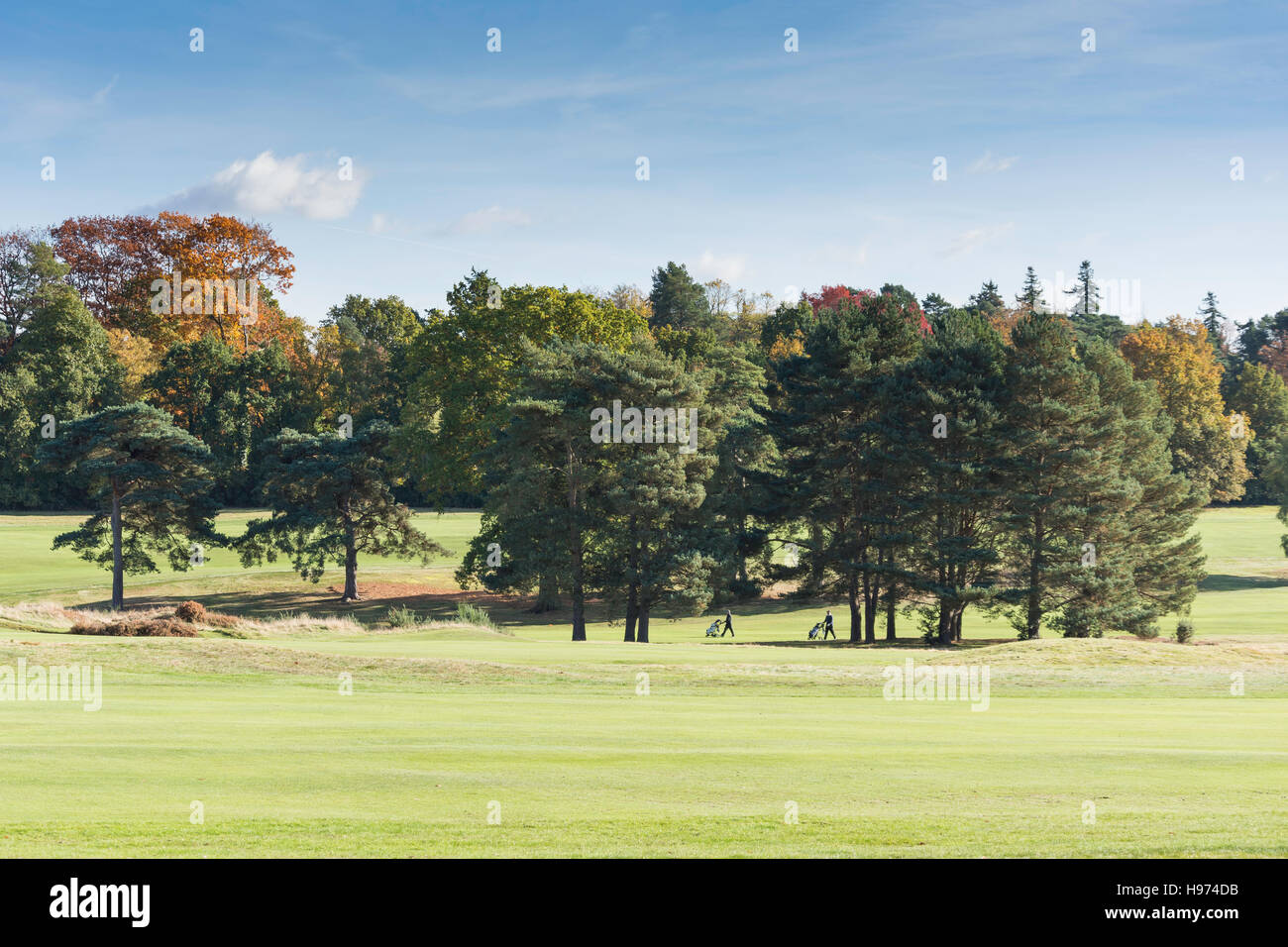 Vista del fairway, Sunningdale Golf, Sunningdale, Berkshire, Inghilterra, Regno Unito Foto Stock