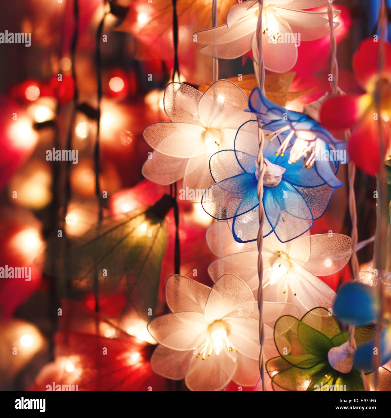 Ghirlanda di fiori fulmini, illuminazione colorata, Umore festive, il fuoco selettivo Foto Stock