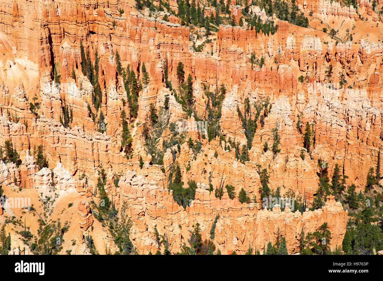Parco nazionale di Bryce Canyon dello Utah, Stati Uniti d'America Foto Stock