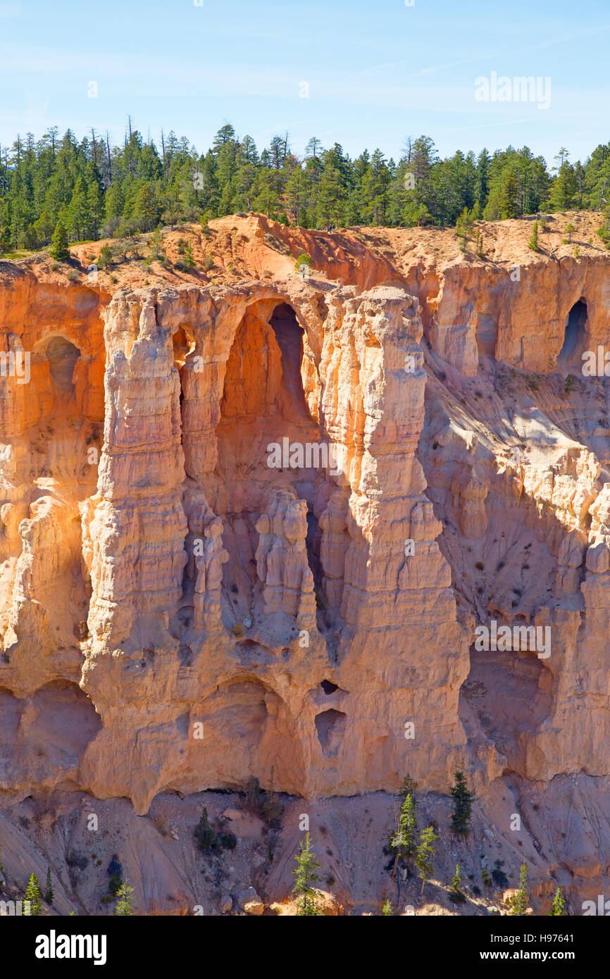 Parco nazionale di Bryce Canyon dello Utah, Stati Uniti d'America Foto Stock