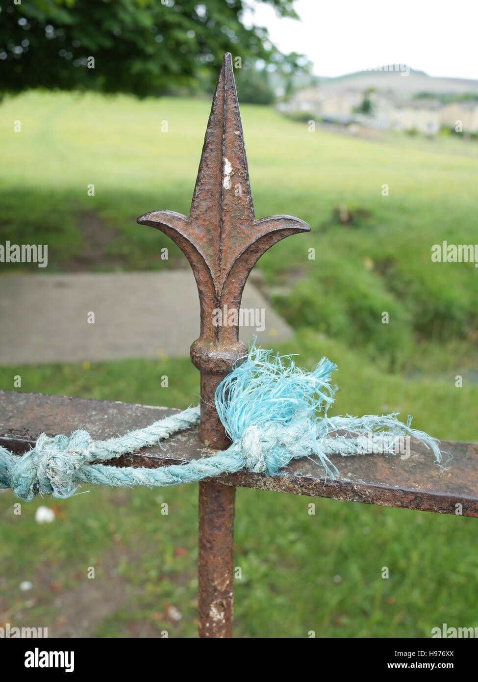 Corda di Nylon blu Foto Stock
