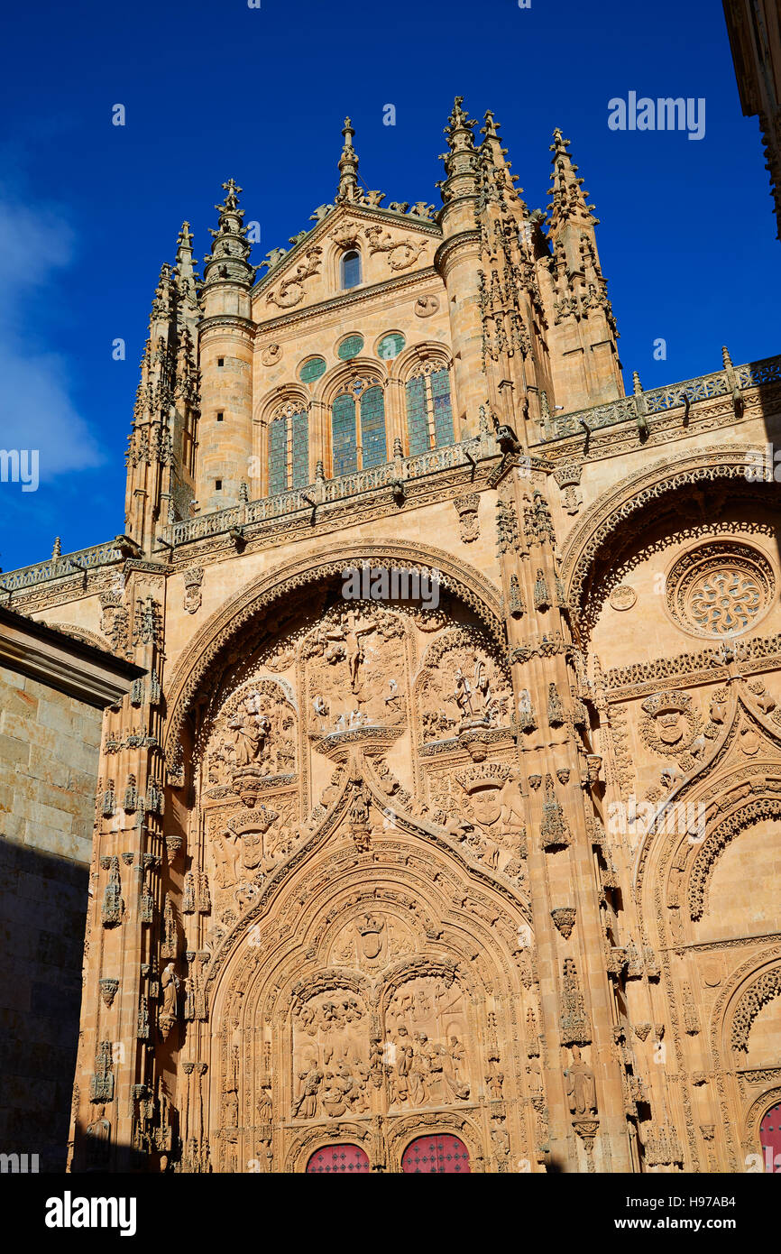 Universidad de Salamanca facciata Università in Spagna Foto Stock