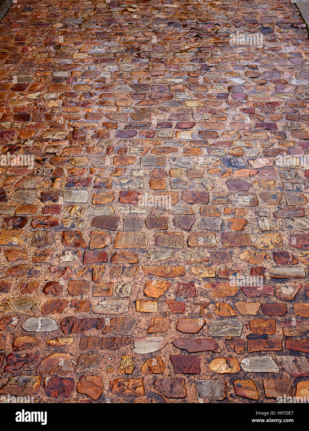 Zamora pietra pavimento in ciottoli di dettaglio texture in Spagna Foto Stock