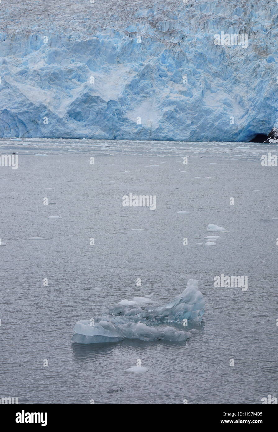 Pezzi di ghiaccio galleggiante nell'alaskan acqua di ghiacciaio, il parco nazionale di Kenai Fjords, Alaska Foto Stock