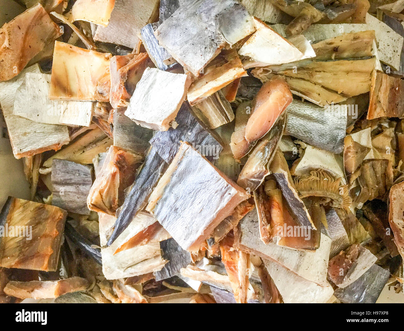 Selezionata e messa a fuoco ravvicinata di una fetta seccato il pesce salato Queenfish (Scomberoides commersonnianus) o locale chiamato Ikan Talang sul display al mercato del pesce. Foto Stock