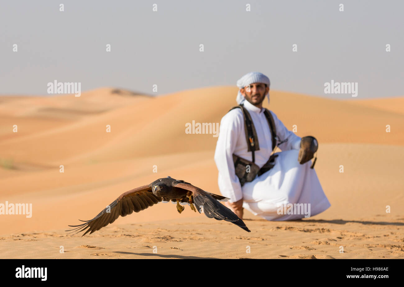 Dubai, UAE, Novembre 19th, 2016: Una falconer in abito tradizionale, la formazione di un Harrier Hawk (Polyboroides typus) Foto Stock