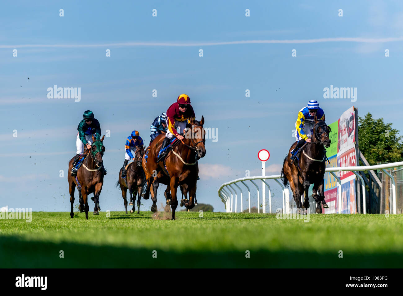 Star bene, cavalcato da Jim Crowley, vincendo il 4.20 a Brighton questo pomeriggio. Foto Stock