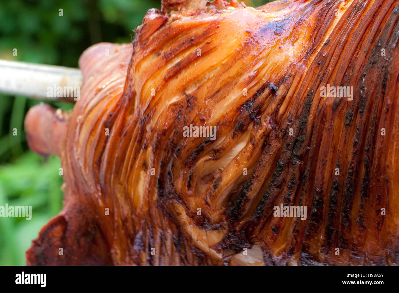 Arrosto di maiale - intero di maiale cotta su carbone per un grande raduno Foto Stock