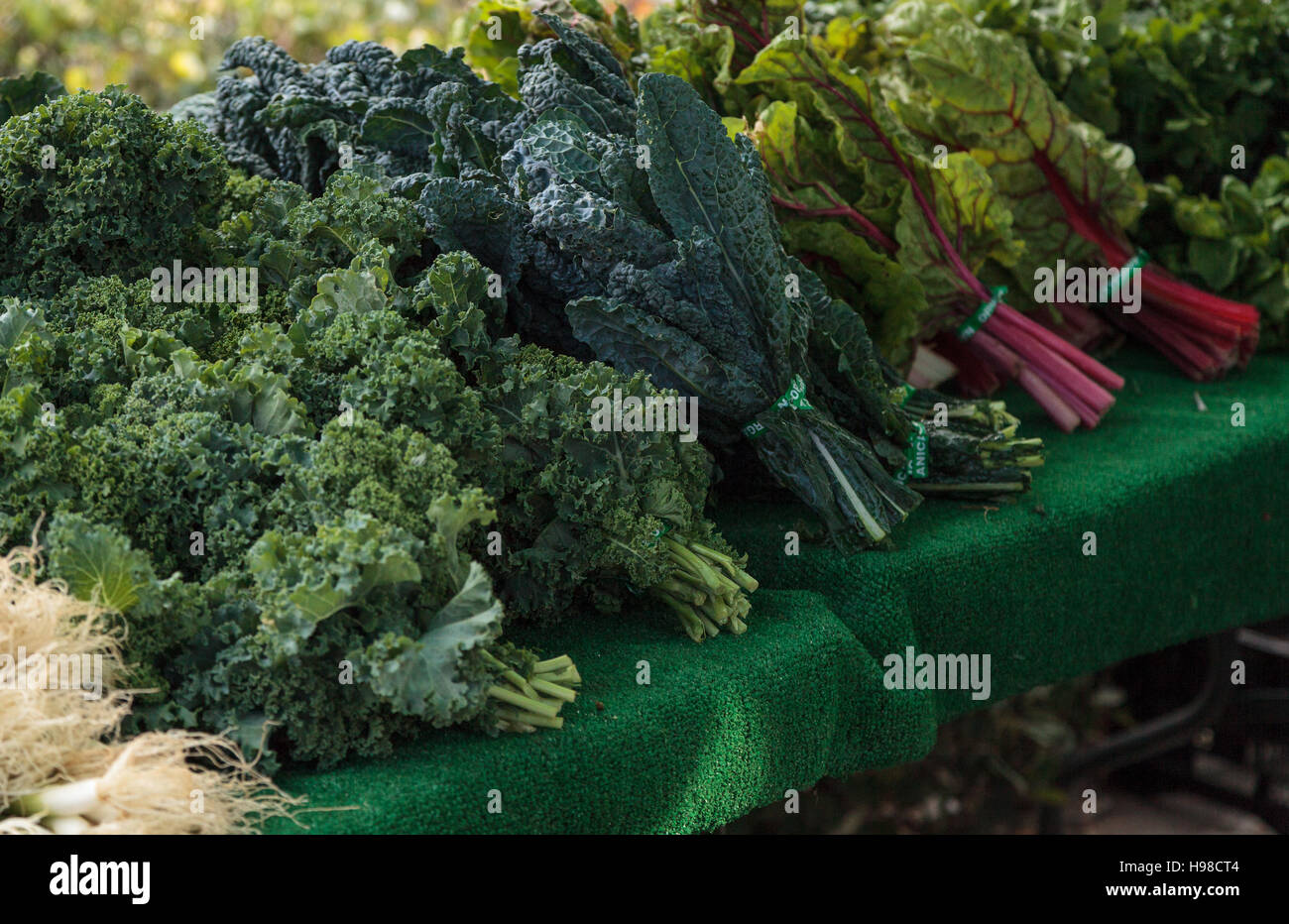 Bushel di organico kale cresciuto su una fattoria e visualizzate in un mercato degli agricoltori Foto Stock