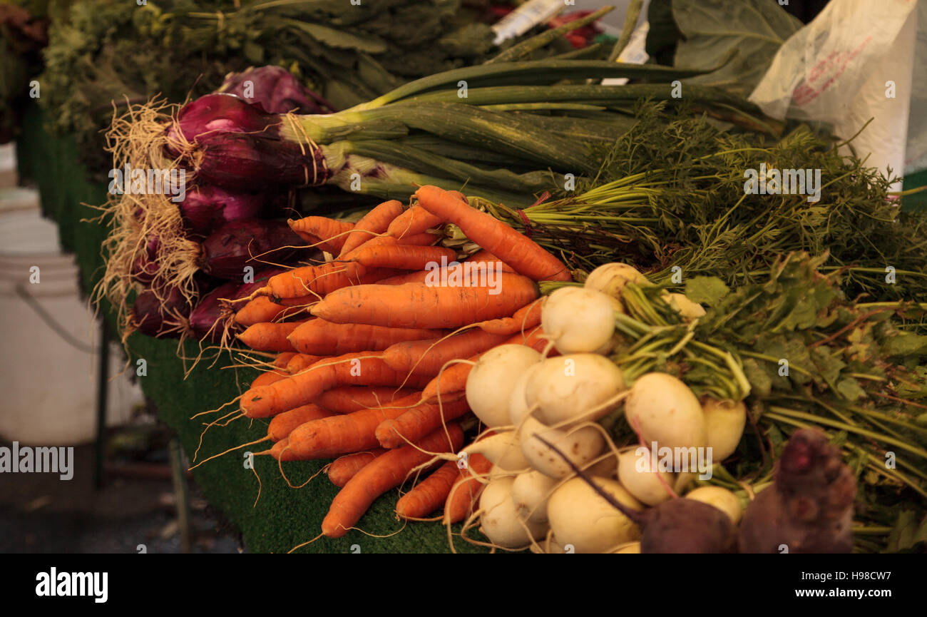 Le barbabietole giallo, arancio di carote e cipolle rosse cresciuto su una fattoria e visualizzate in un mercato degli agricoltori Foto Stock