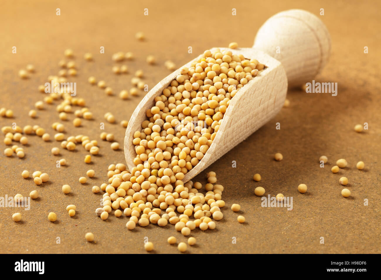 Giallo senape Foto Stock