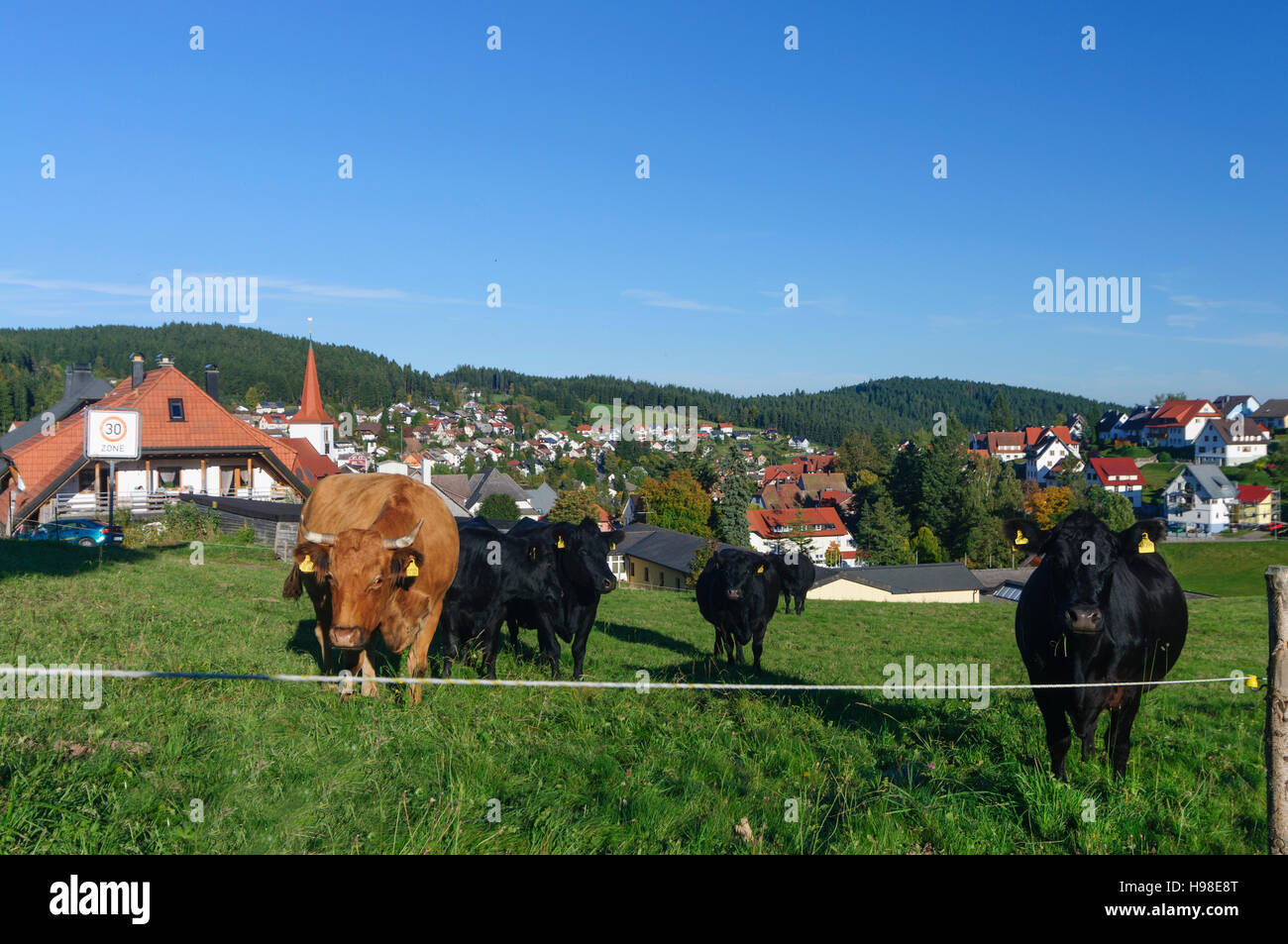 Schonach im Schwarzwald: vista a Schonach, Schwarzwald, Foresta Nera, Baden-Württemberg, Germania Foto Stock