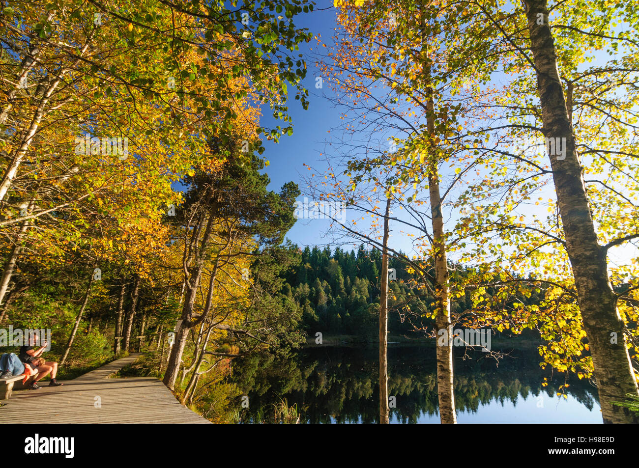 Schönwald im Schwarzwald: lago Blindensee, Schwarzwald, Foresta Nera, Baden-Württemberg, Germania Foto Stock