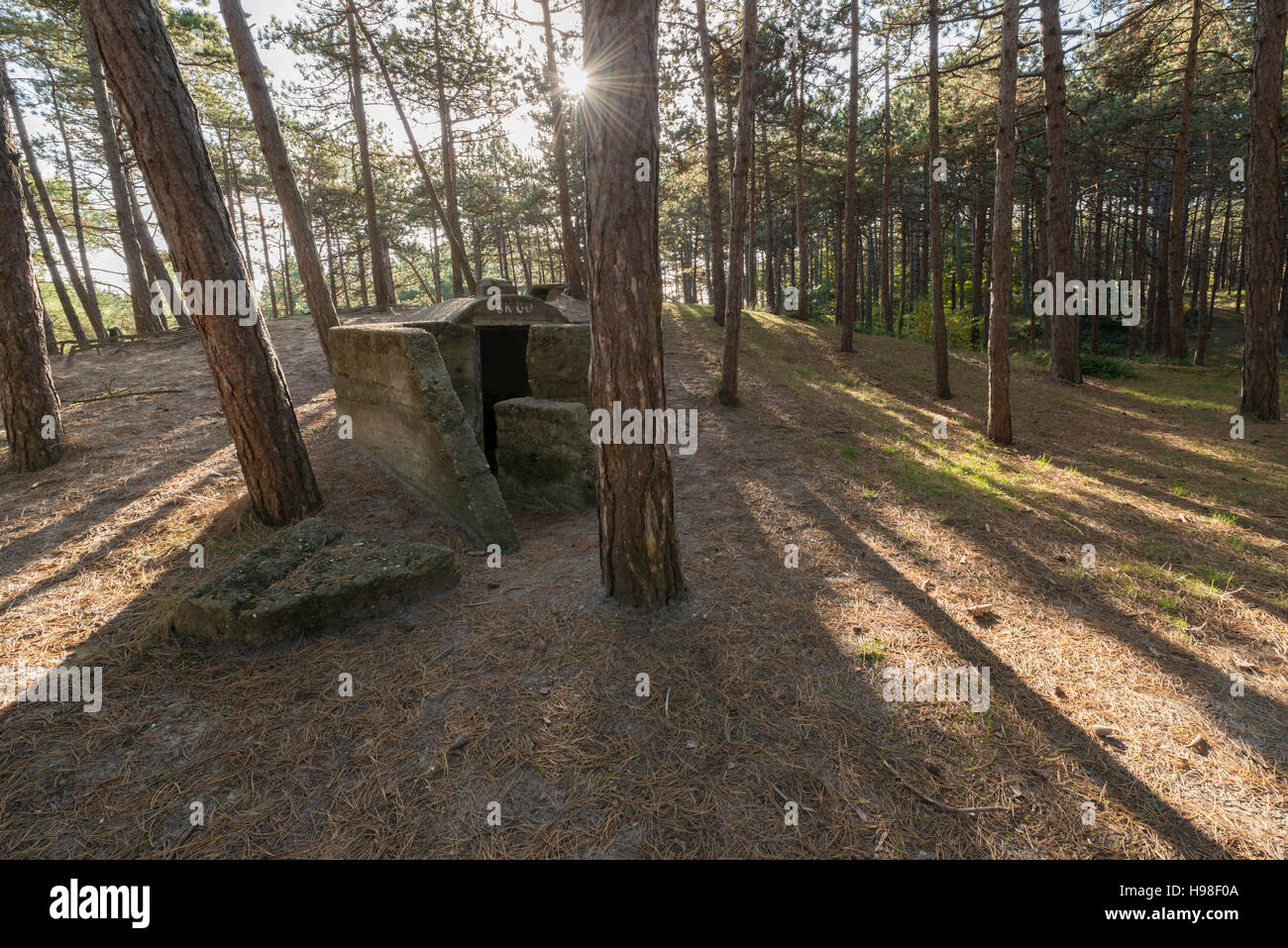 Old German bunker sulla isola di Terschelling nei Paesi Bassi, parte della Atlantic Wall, un di più di 5000 chilometri lungo la linea di difesa, Foto Stock