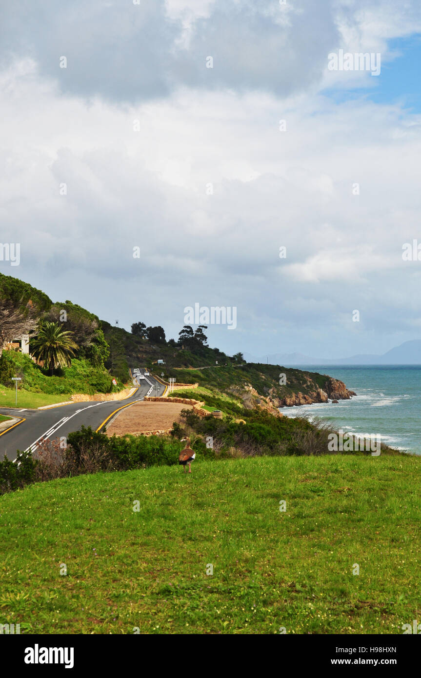 Sud Africa, guida su strada: vista del southafrican verde paesaggio e Oceano Atlantico visto da N2, la famosa Garden Route Foto Stock