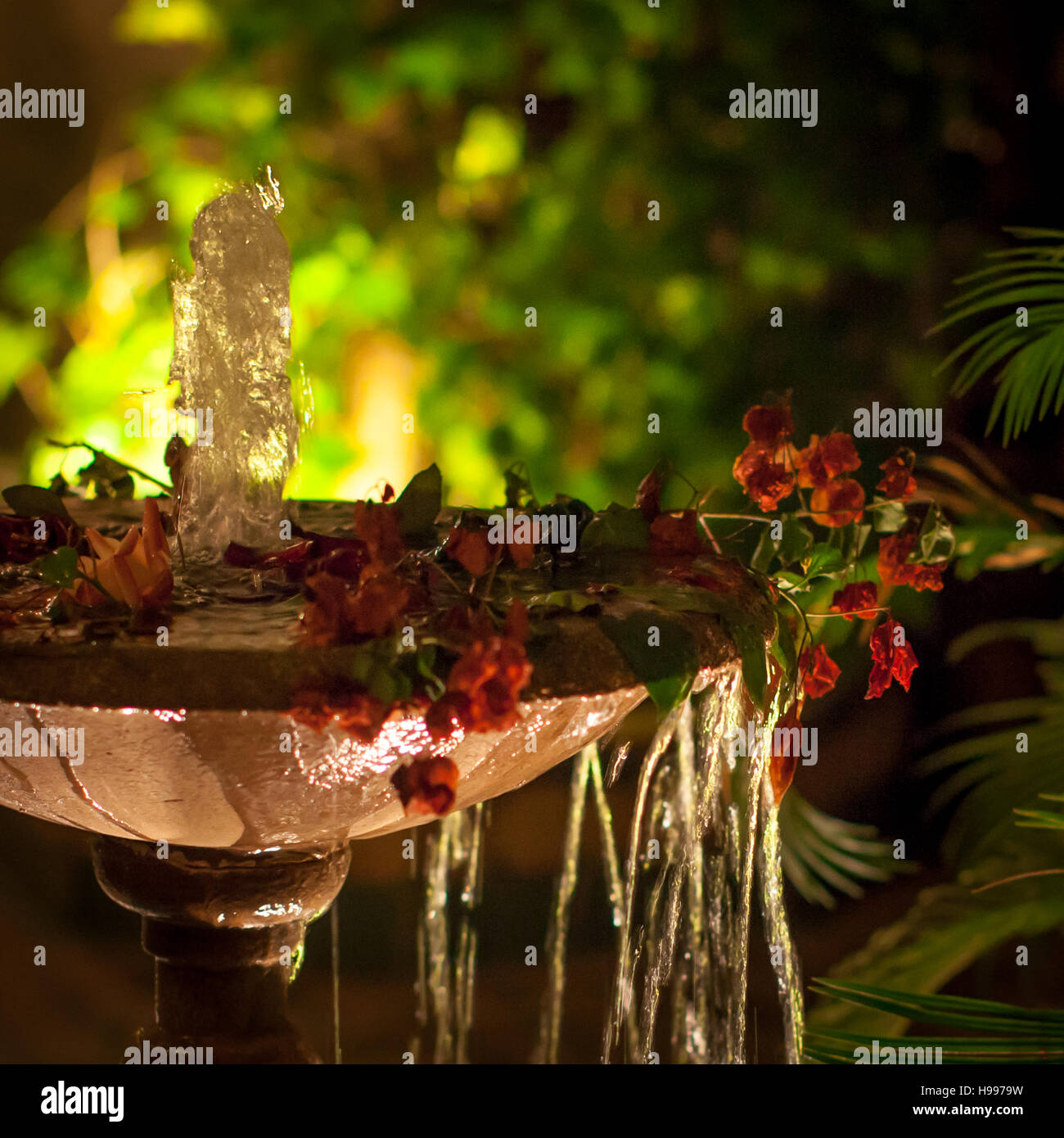 Fontana nel Riad Arqbesque terrazza, Fés, Marocco di notte Foto Stock