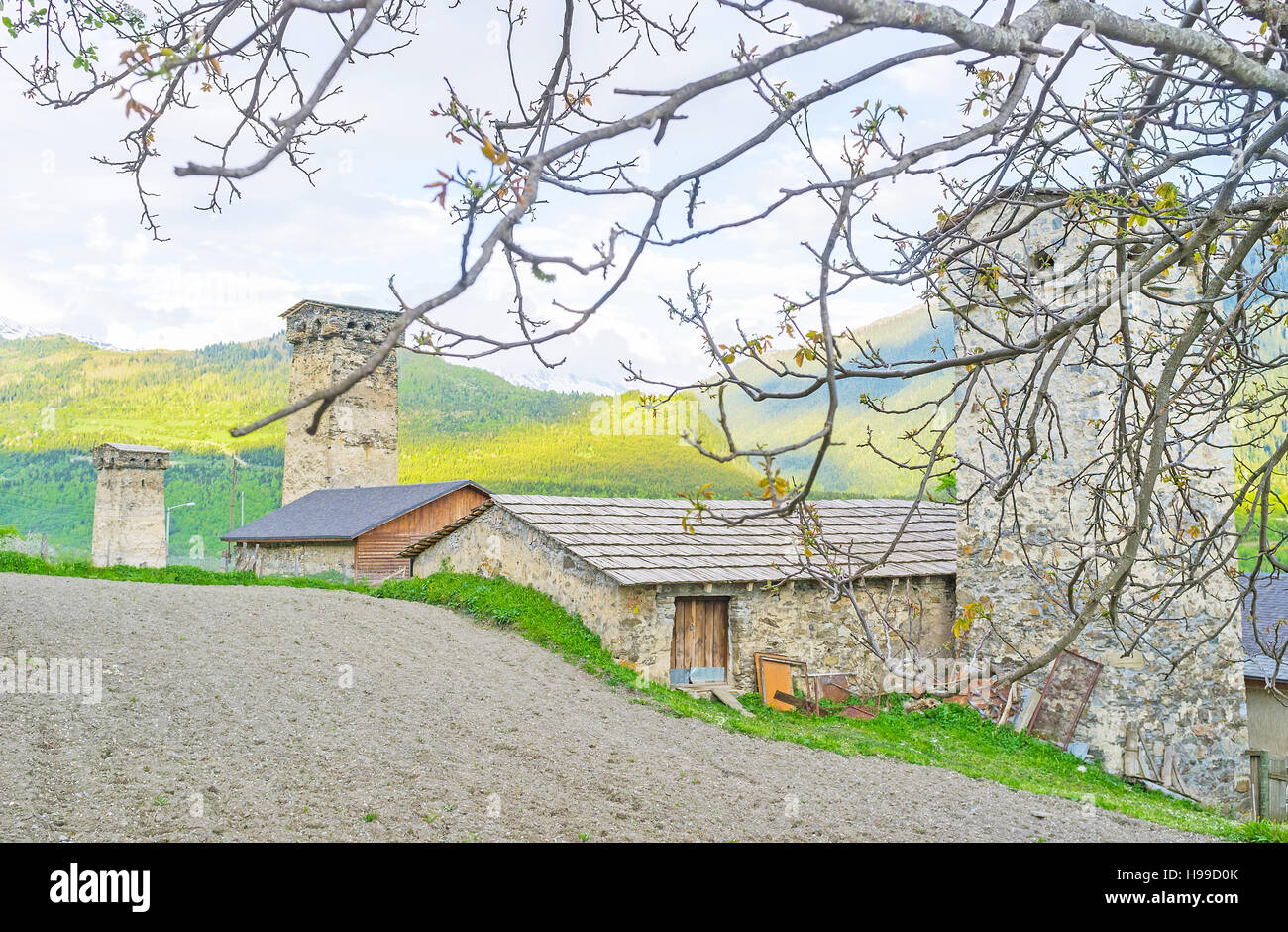 Il arata prato accanto alle vecchie fattorie con Svan medievale torri, Mestia, Svaneti superiore, Georgia. Foto Stock