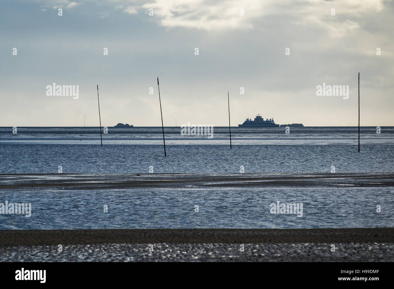 Puntate sulla costa del Mare del Nord dell'isola Amrum, Germania Foto Stock