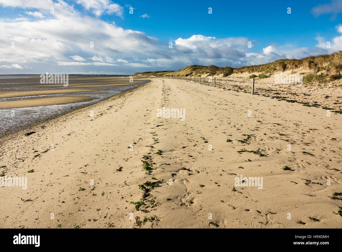 Spiaggia sulla costa del Mare del Nord dell'isola Amrum, Germania Foto Stock