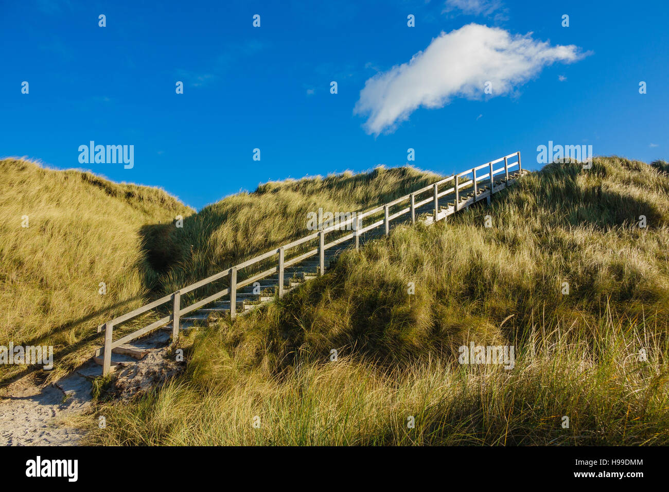 Dune sulla costa del Mare del Nord dell'isola Amrum, Germania Foto Stock