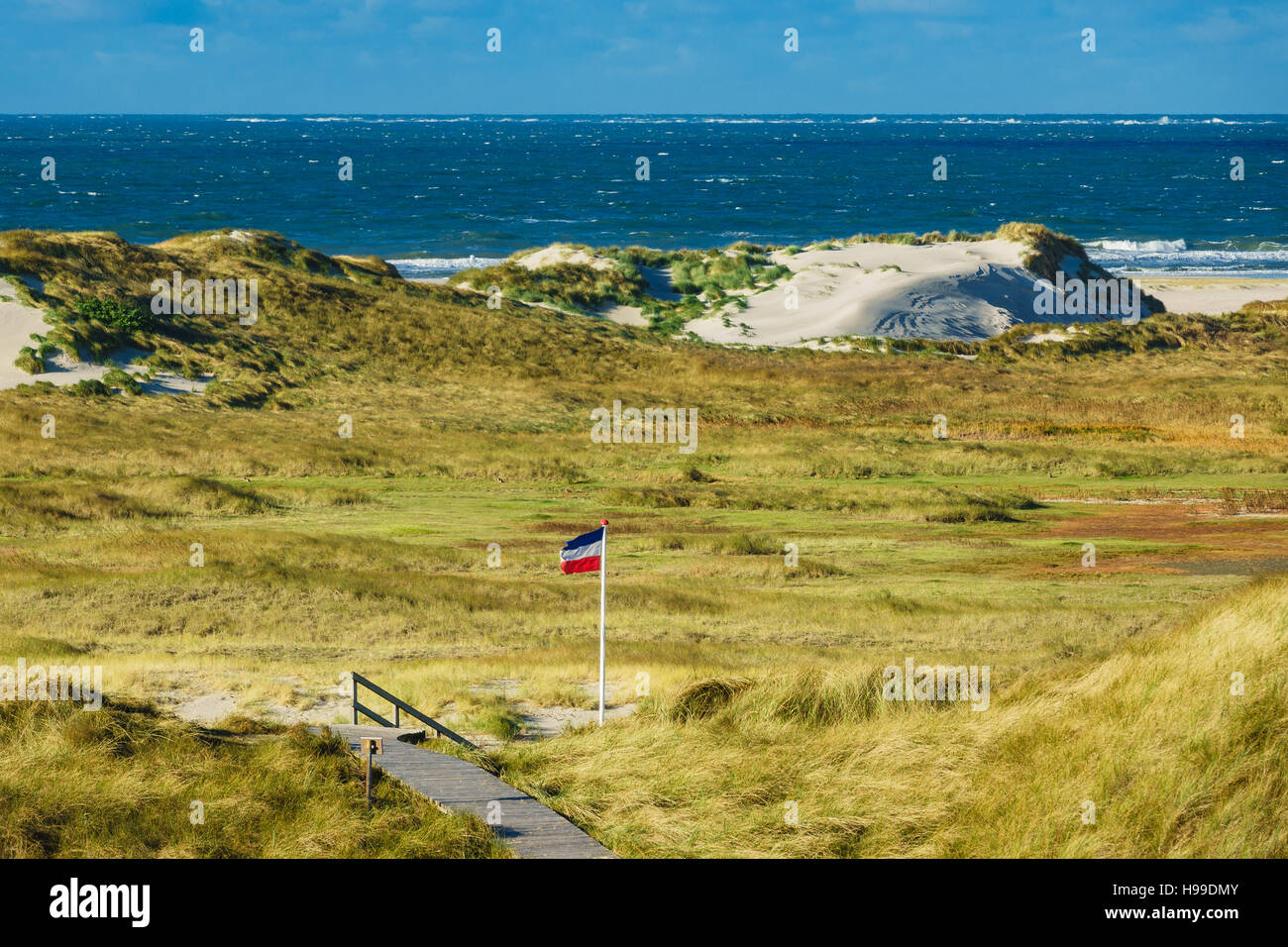 Dune sulla costa del Mare del Nord dell'isola Amrum, Germania Foto Stock
