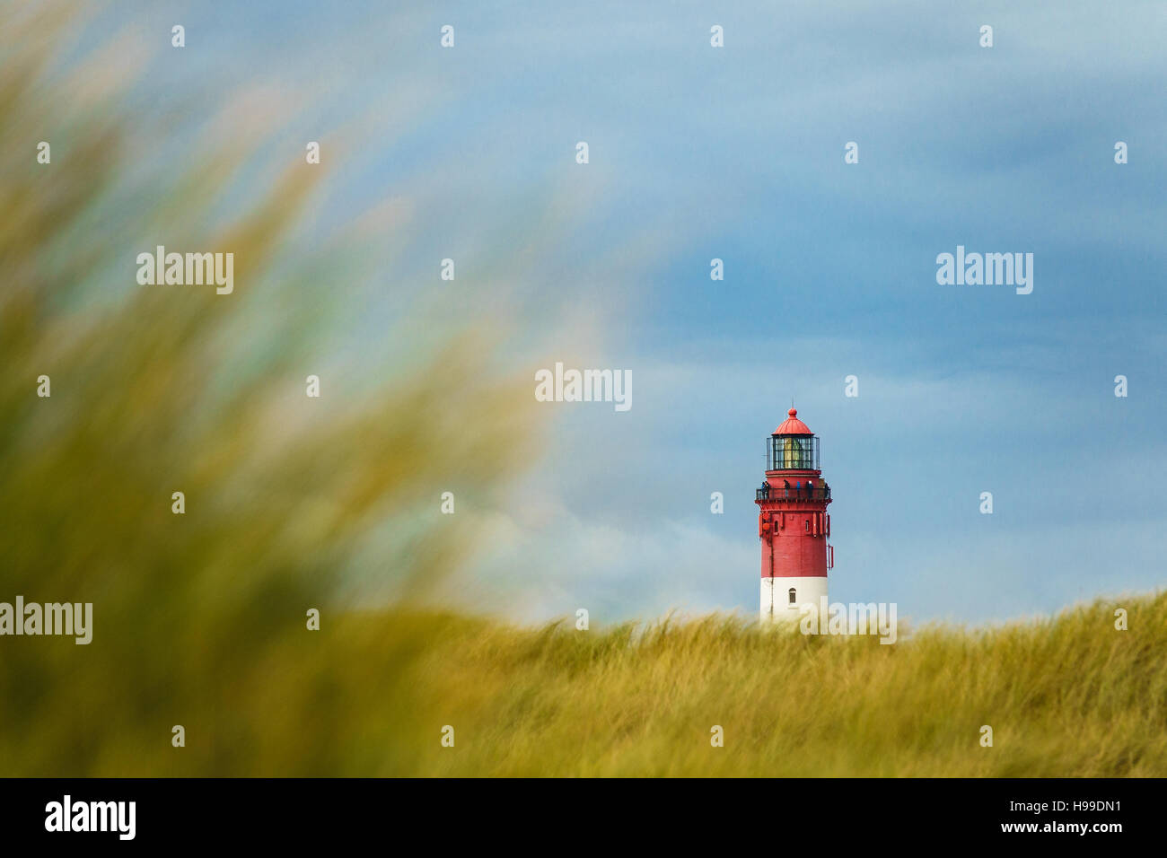Faro in Wittduen sull'isola Amrum, Germania Foto Stock